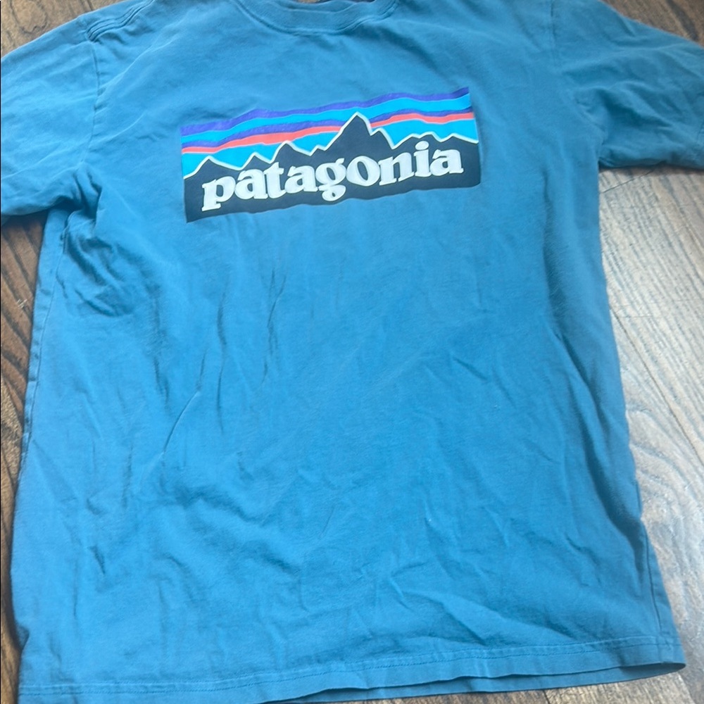 Patagonia Teal T-Shirt with Vibrant Logo